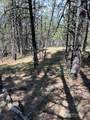 0 Rocky Ridge Road - Photo 5