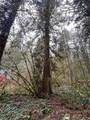7138 Rainier Way - Photo 3