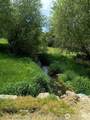32900 Hawk Creek Ranch Rd - Photo 22