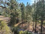 32900 Hawk Creek Ranch Rd - Photo 5