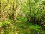 0 Lincoln Creek Road - Photo 11