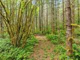 0 Lincoln Creek Road - Photo 7