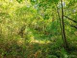 0 Lincoln Creek Road - Photo 9