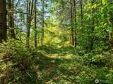 0 Lincoln Creek Road - Photo 10