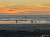 199 Narwhal Loop - Photo 30