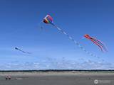 199 Narwhal Loop - Photo 33