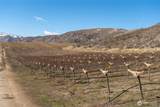 0 Chelan Butte Road - Photo 25