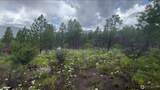 0 Potato Creek A3 - Photo 16