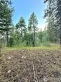 0 Tbd Buzzard Lake Road - Photo 11