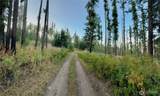 0 Tbd Buzzard Lake Road - Photo 14