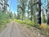 0 Tbd Buzzard Lake Road - Photo 16