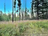 0 Tbd Buzzard Lake Road - Photo 19