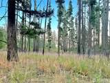 0 Tbd Buzzard Lake Road - Photo 22