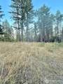0 Tbd Buzzard Lake Road - Photo 5