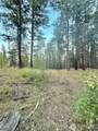 0 Tbd Buzzard Lake Road - Photo 8
