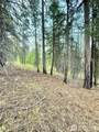 0 Tbd Buzzard Lake Road - Photo 10