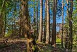 11 XX Lake Sammamish Parkway - Photo 5