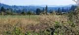 46502 268th Avenue - Photo 8