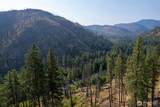 88 TBD Gold Creek Road - Photo 30
