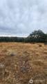 295 Oak Flatt Rd - Photo 5
