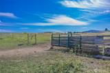 12 A Temby Road - Photo 35