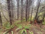 0 Bunker Creek Road - Photo 11
