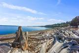 169 Driftwood Shores Road - Photo 39