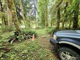 0 Dowans Creek Road - Photo 16