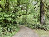 0 Dowans Creek Road - Photo 17