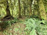 0 Dowans Creek Road - Photo 20