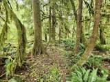 0 Dowans Creek Road - Photo 21