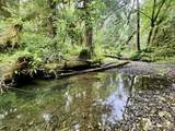 0 Dowans Creek Road - Photo 29