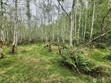 0 Dowans Creek Road - Photo 33