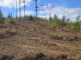1051 Skamania Mines Road - Photo 2