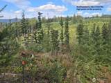 1051 Skamania Mines Road - Photo 7