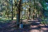 36716 Eatonville Cutoff Road - Photo 19