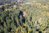36716 Eatonville Cutoff Road - Photo 27
