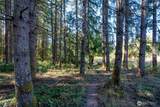 36716 Eatonville Cutoff Road - Photo 8