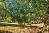 10320 Cove Road - Photo 22