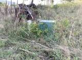 195 Hagen #82 Road - Photo 3