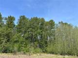 50 Acres Lincoln And Shintaffer Road - Photo 4