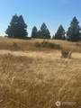 0 Malcolm Grade Road - Photo 11