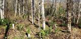 365 XX Cumberland Ridge Road - Photo 13
