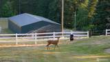 162 Bylin Road - Photo 36