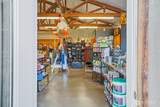 461 Old Belfair Highway - Photo 12
