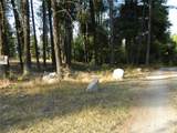 1111 Tbd Rone Road - Photo 2