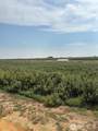 19651 W Hwy 28 - Photo 15