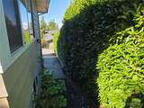 1227 Puget Street - Photo 6