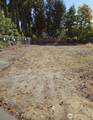 12657 104th Street - Photo 14