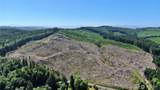 0 NKA Smith Creek Road - Photo 8